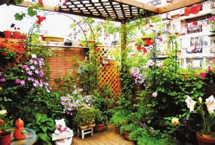 园艺——打造美好生活空间的魔法艺术