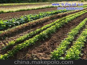有机肥料新标准，助力农业绿色发展