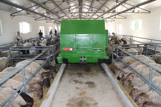 畜牧业与机械化自动化的区别