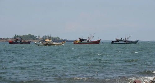 保护渔业资源方面应采取的措施