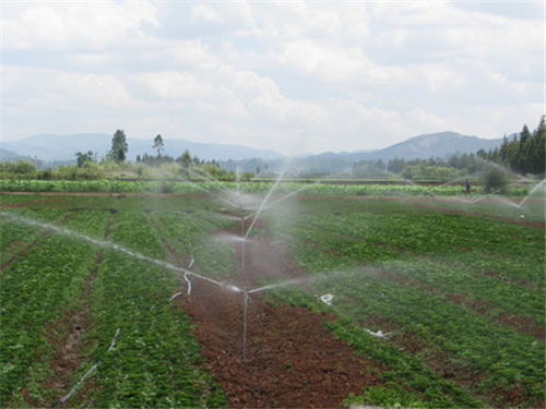 节水灌溉项目申请
