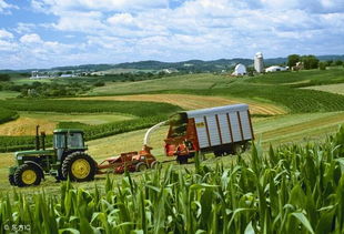 生态农业技术与模式的现状与发展