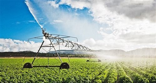 农业农村科技创新规划：推动未来农业发展的关键