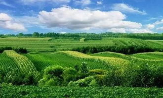生态循环农业的概念与特点是什么，生态循环农业：绿色革命的新方向