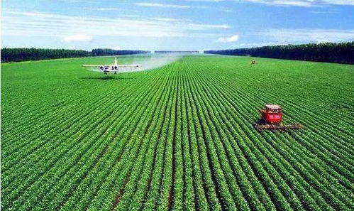有机农业的含义，有机农业：未来的可持续农业方式