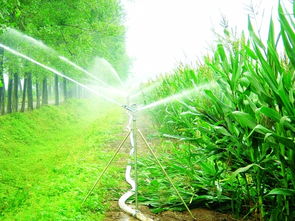 节水灌溉方式主要有哪些，节水灌溉：农业未来的必然选择