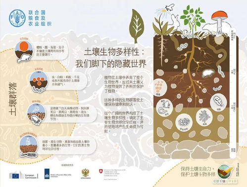 合理利用土壤：保护、管理与可持续发展的重要性
