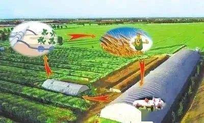 生态循环农业种植技术