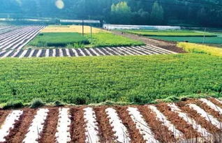 农业生态环境学报：探索可持续农业发展的生态环境