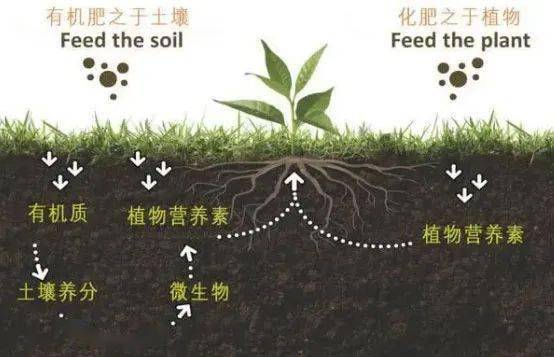 有机肥料与农业肥料区别是什么呢