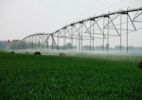 节水灌溉技术包括哪些技术措施和方法