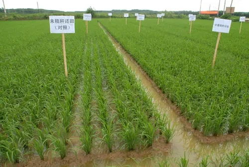 农作物病虫害预防控制方案根据农业生产情况制定