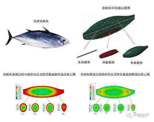 养鱼技术创新