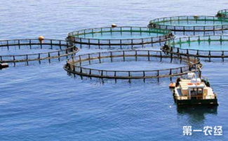 可持续渔业发展