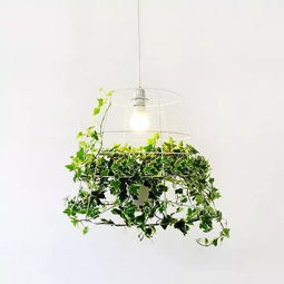 室内植物灯光