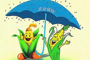 农业保险基本原则政府引导，引导，为农民撑起保护伞