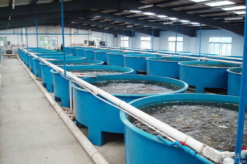 水产养殖设备