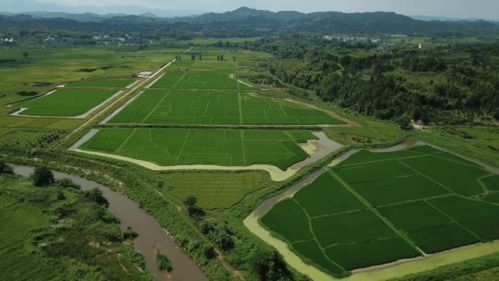 生态农业与乡村振兴发展