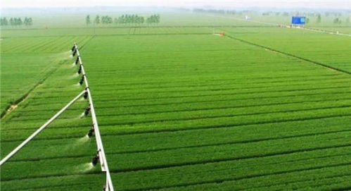 有机肥料在农业生产中的应用研究