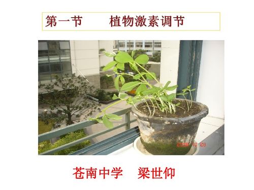 提高植物抗逆性的植物激素