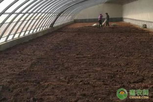 有机肥对土壤和作物的作用