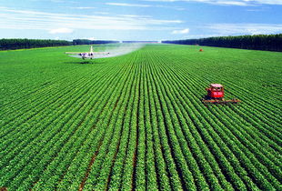 农业生态环保一控两减三利用，农业生态环保的