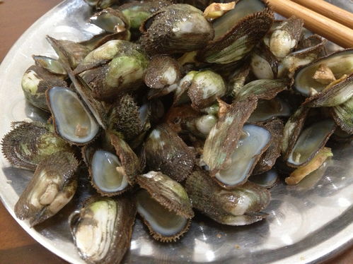 菜市场卖的贝壳类海鲜有哪些