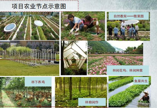 农业生态项目可行性研究报告范文
