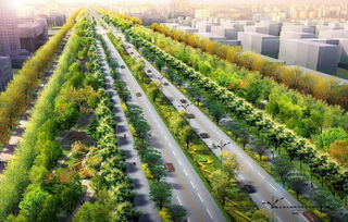 城市绿化设计规范