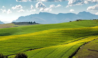 农业可持续发展的新篇章：实现绿色繁荣的必由之路