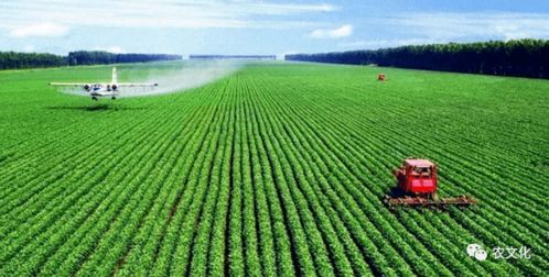 农业绿色发展的可行性：实现可持续农业的关键路径