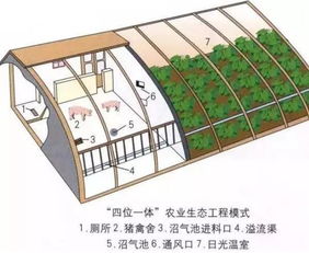中国生态农业发展的10种模式，引领绿色农业新时代！