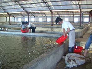 水产养殖病虫害防治