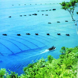 中国海水养殖业存在的问题