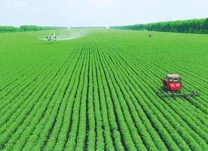 生态农业有机农业：构建可持续发展的未来