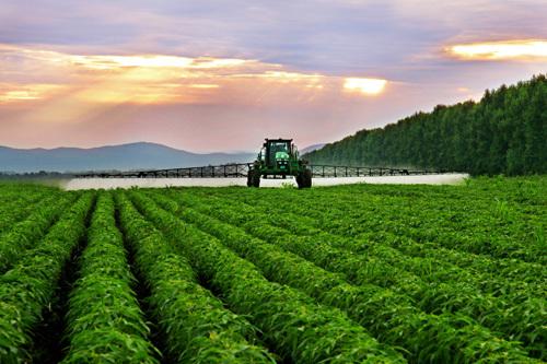 生态农业、有机农业、绿色农业：农业发展的三大支柱