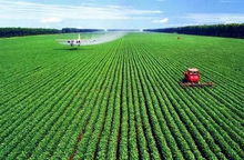 农业可持续发展：实现绿色革命的关键之路