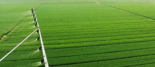 农业可持续发展：为未来创造更绿色、更健康、更繁荣的农业