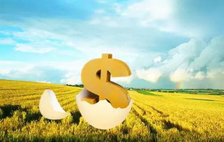 农村金融政策对农民带来的实际好处有，农民的福音，乡村振兴的助推器