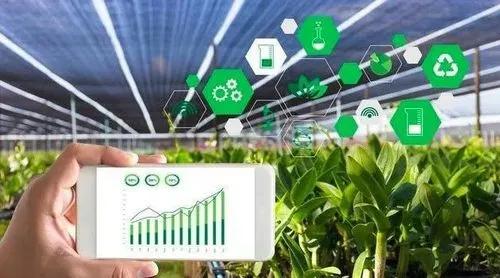 农业科研投入数据，驱动未来农业发展的强大引擎