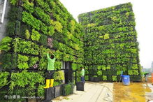 城市绿化设计