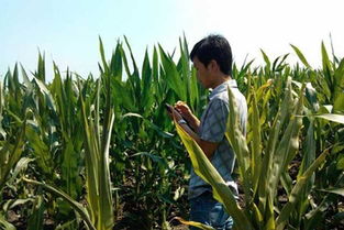 农作物病虫害监测技术规范最新版