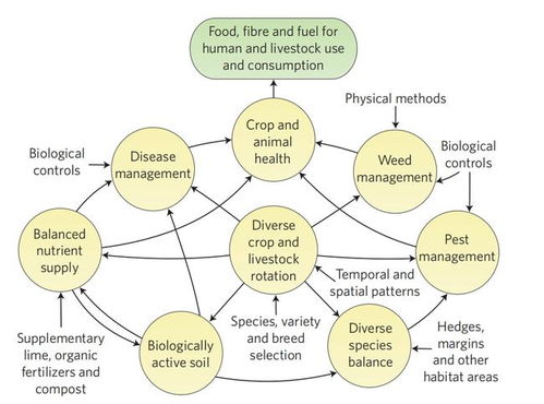 有机农业与健康的关系论文题目