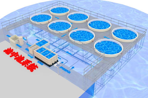 水产养殖循环水系统作用