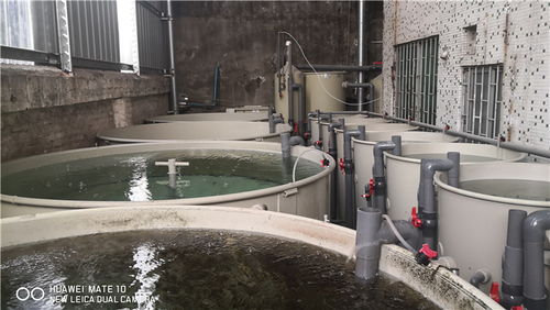 水产养殖循环水设备