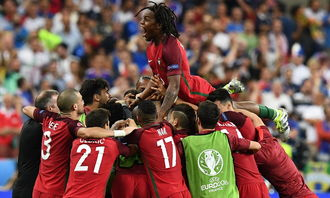 葡萄牙与法国对决：2016年欧洲杯决赛_体育百科