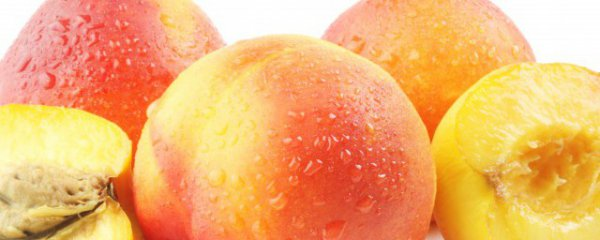 水蜜桃的功效与作用吃法 水蜜桃的功效与作用吃法介绍