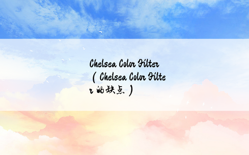 Chelsea Color Filter（Chelsea Color Filter 的缺点）